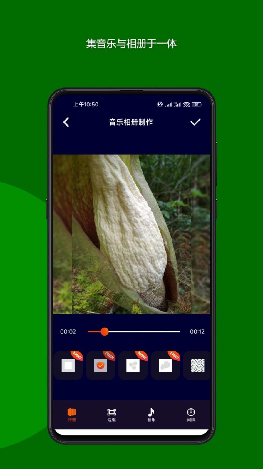 魔法音乐相册软件2