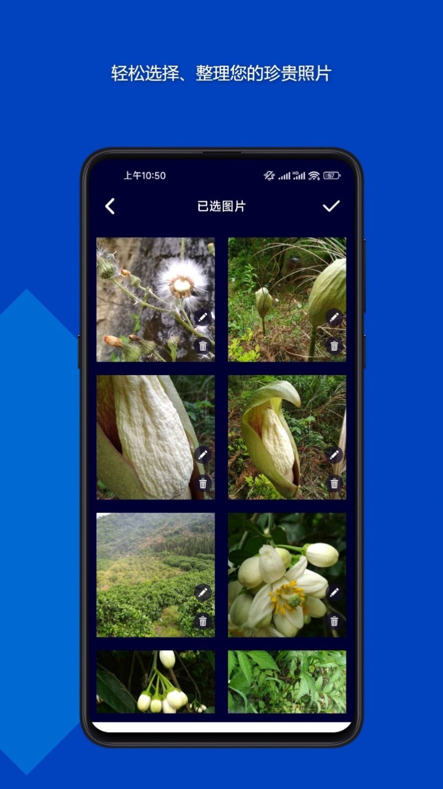 魔法音乐相册软件3