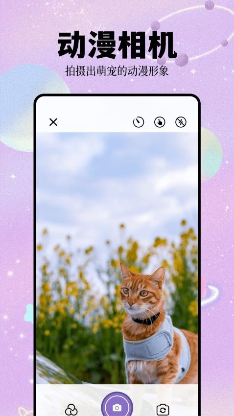 次元城app2