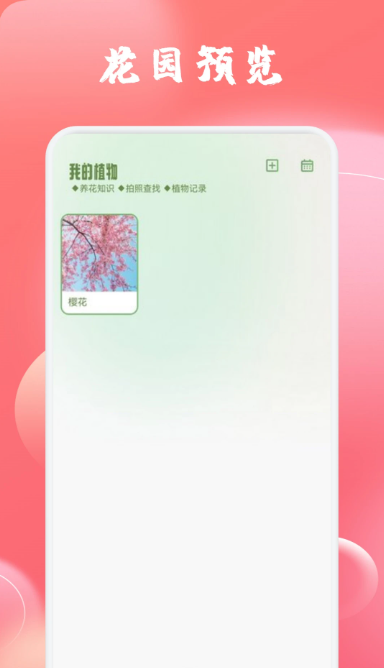 玫瑰app1