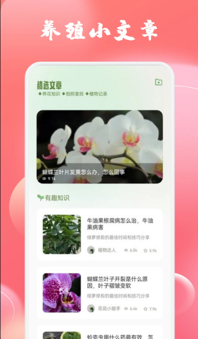 玫瑰app2