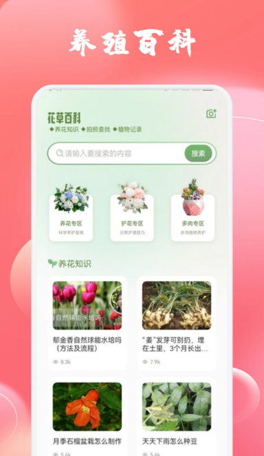 玫瑰app3