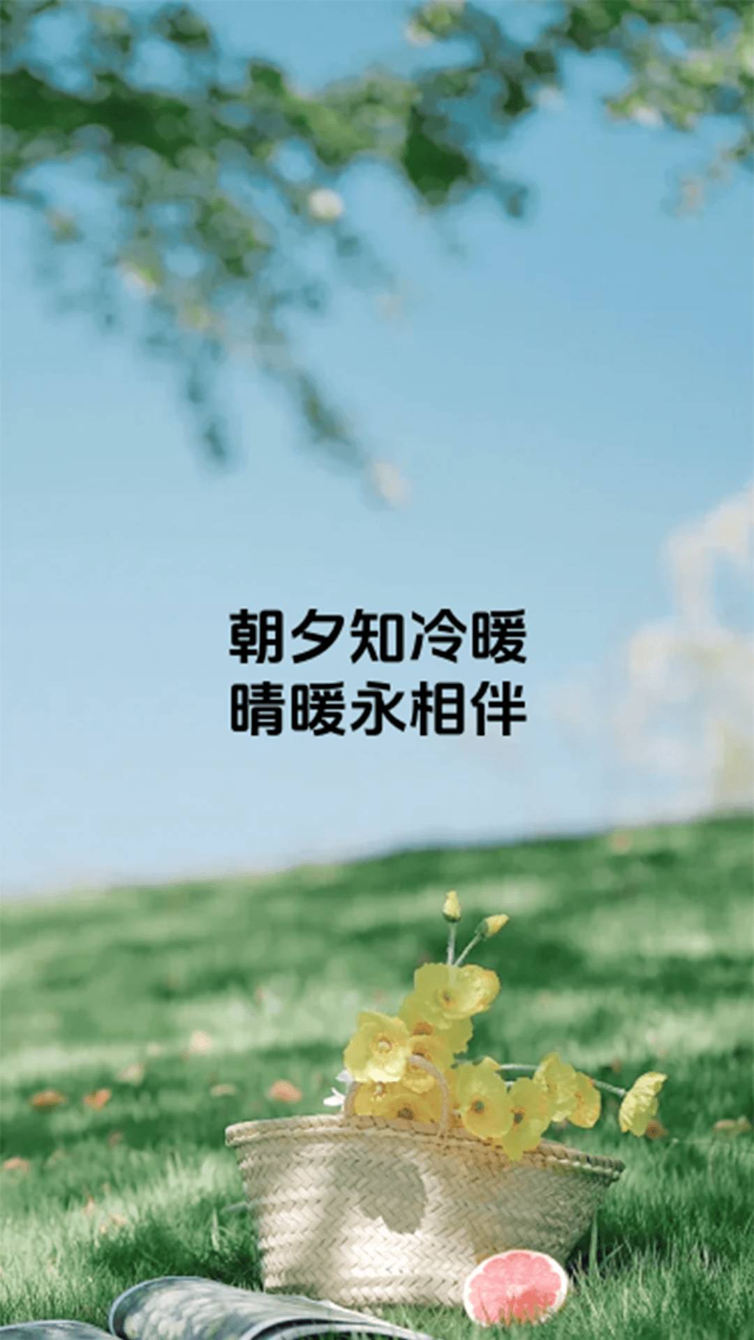 晴暖相伴app1
