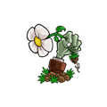植物大战僵尸神金果冻人版