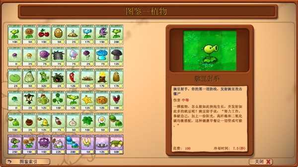 植物推荐配图1