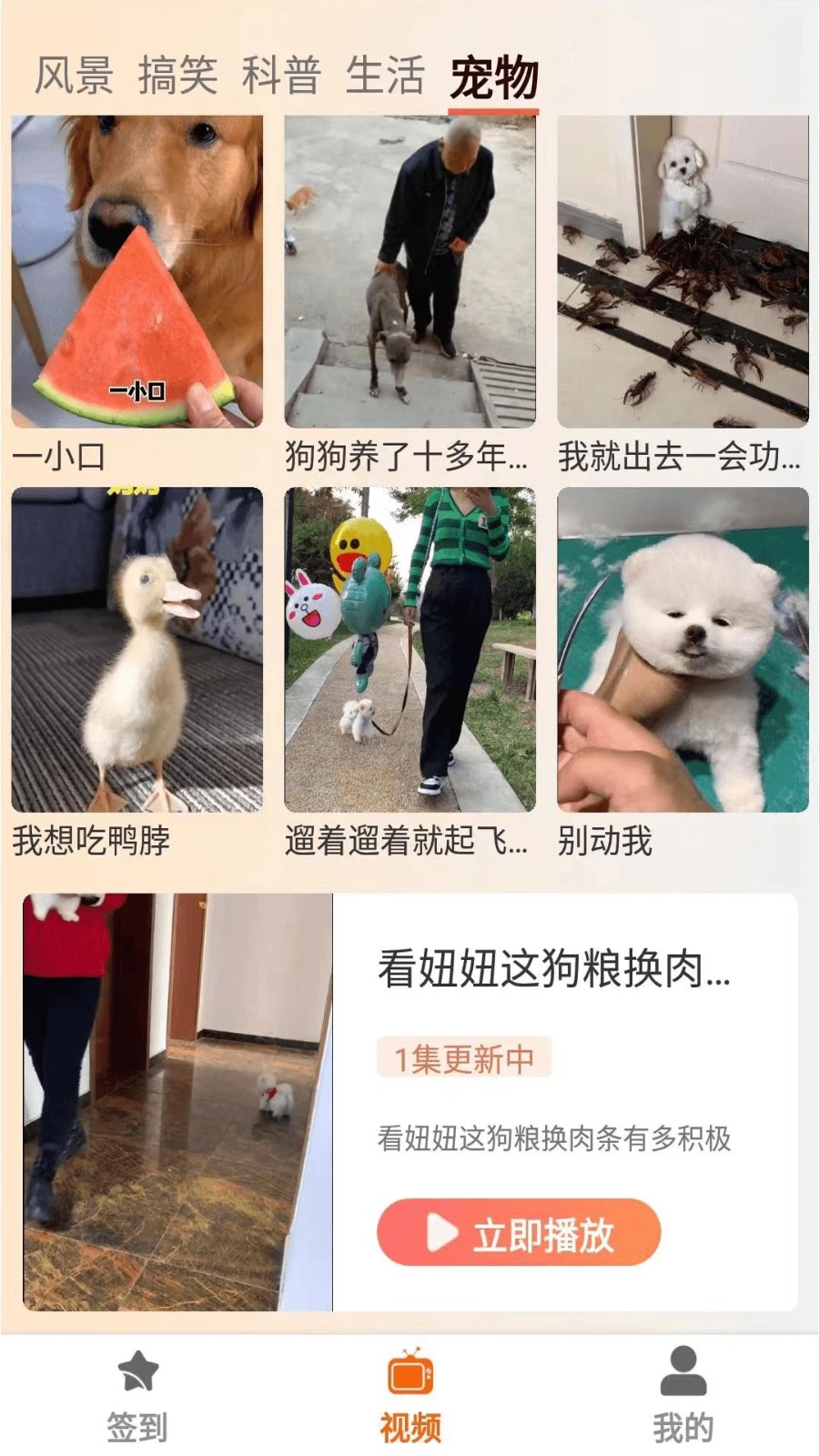 塔奇剧场2