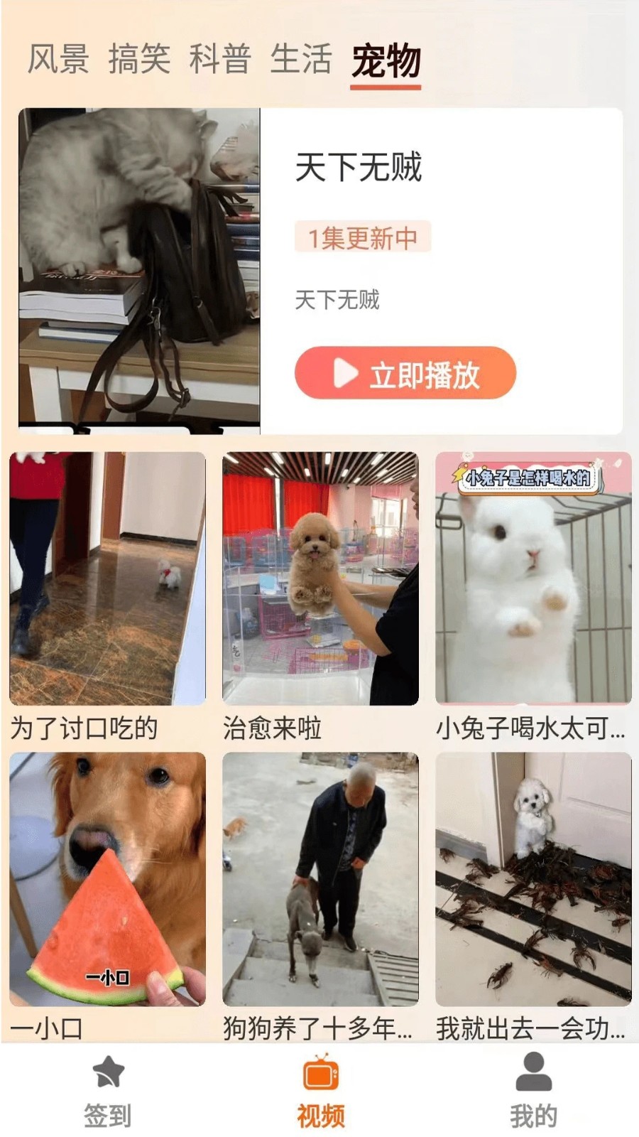 塔奇剧场3