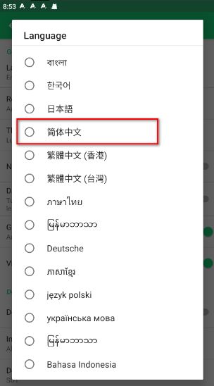 设置中文配图3