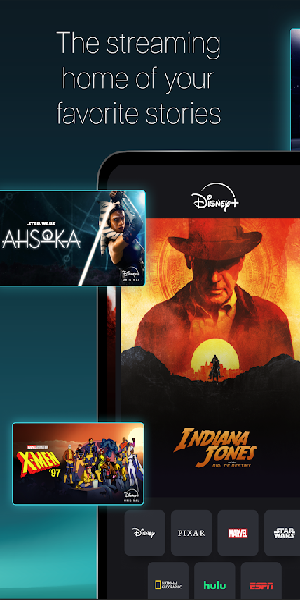 Disney+5