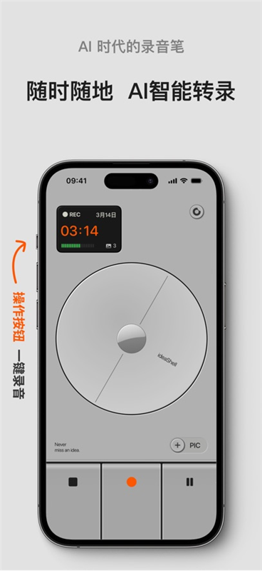 闪念贝壳1