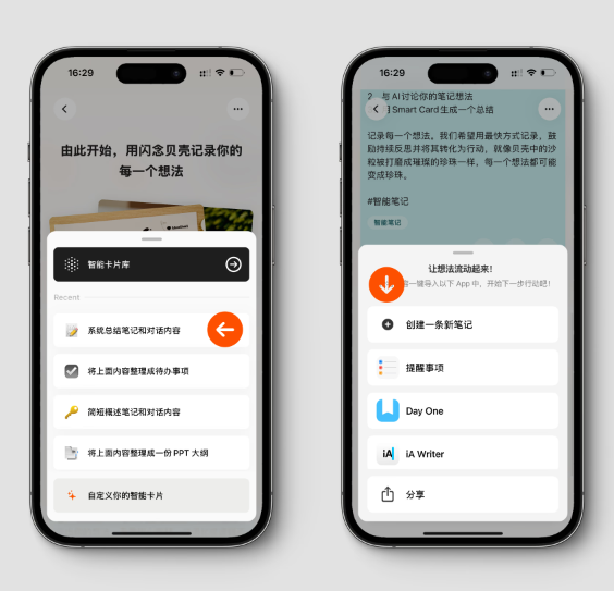 闪念贝壳6