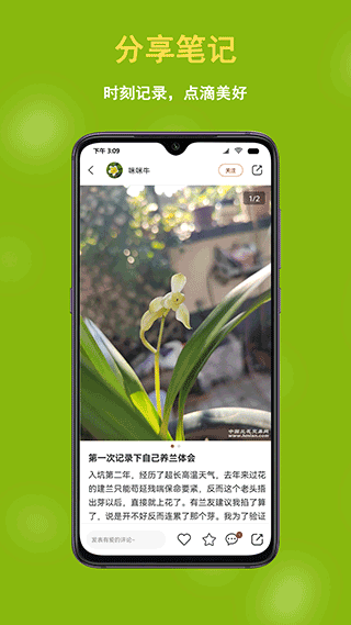中国兰花交易网官方正版2