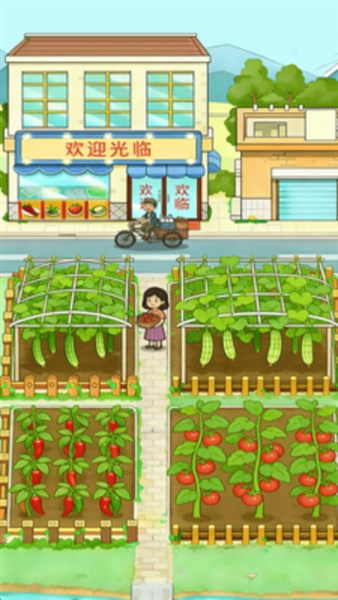 丰收小菜园赚钱游戏1