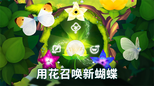彩翼蝴蝶保护区最新版20261