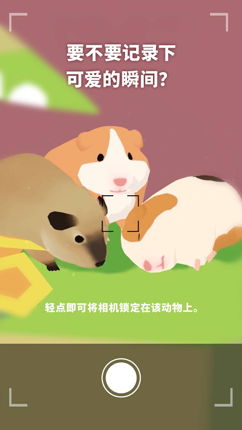 森林小岛最新版1