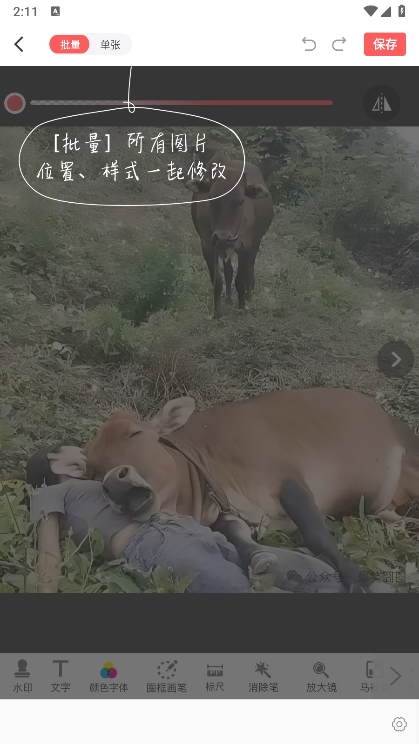 脉水印相机app怎么批量添加水印配图3
