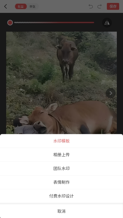 脉水印相机app怎么批量添加水印配图5