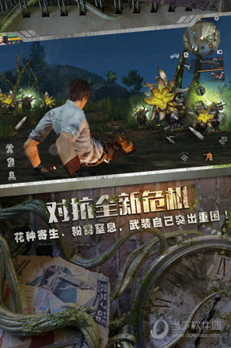 秋日森林资源分布介绍配图1