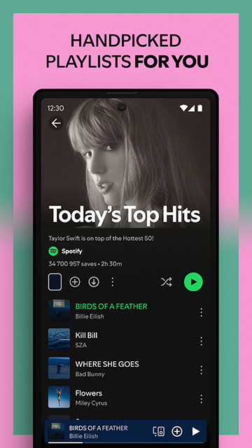 Spotify官方20263
