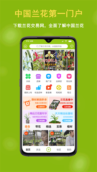 中国兰花交易网官网版1