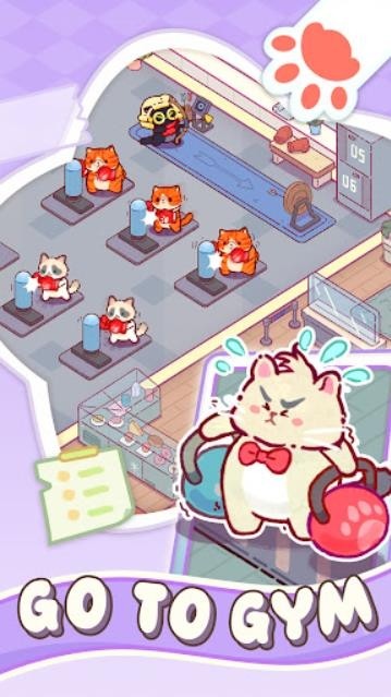 猫咪健身房游戏2