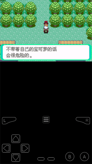 口袋妖怪传说绿宝石手机版3