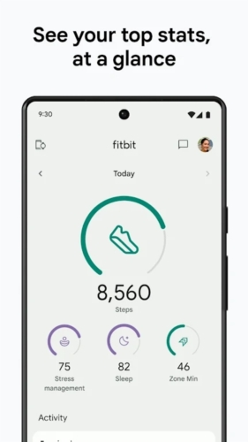 Fitbit手环