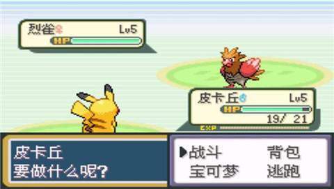 口袋妖怪圣灰版1
