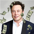 SpendElonMuskMoney游戏