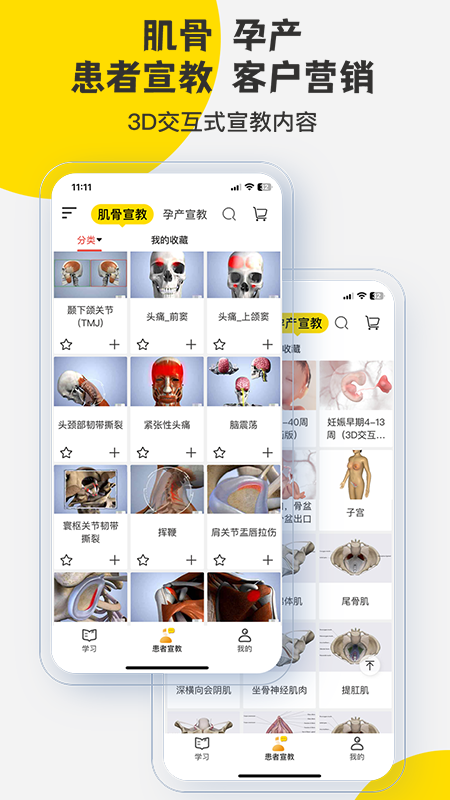 3Dbody解剖软件2