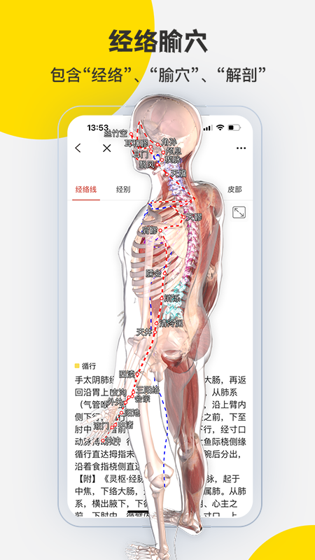 3Dbody解剖软件5
