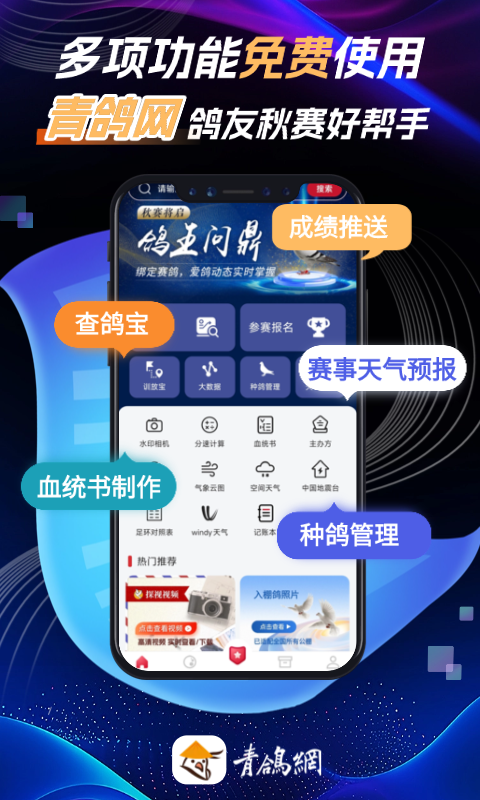 青鸽网最新版本3