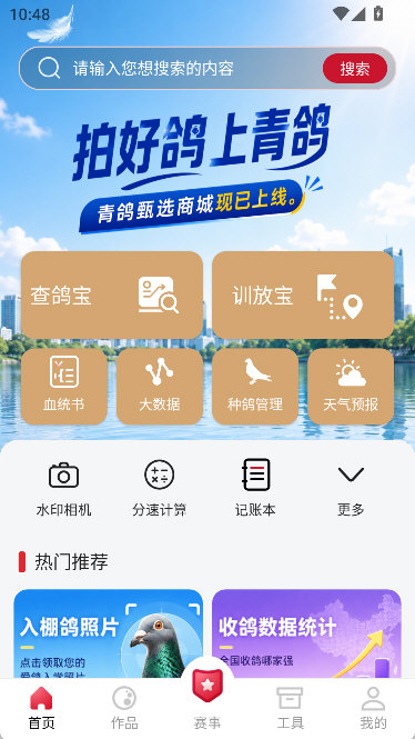青鸽网使用说明配图1