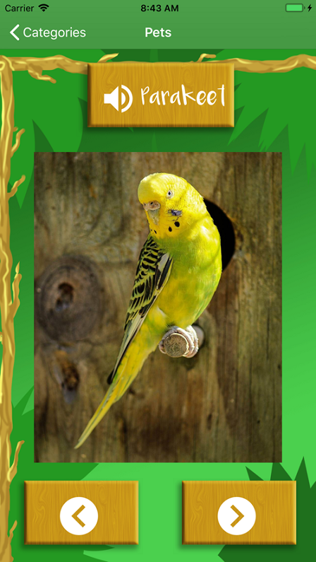 孩子们的动物声音1