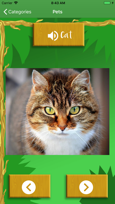 孩子们的动物声音3