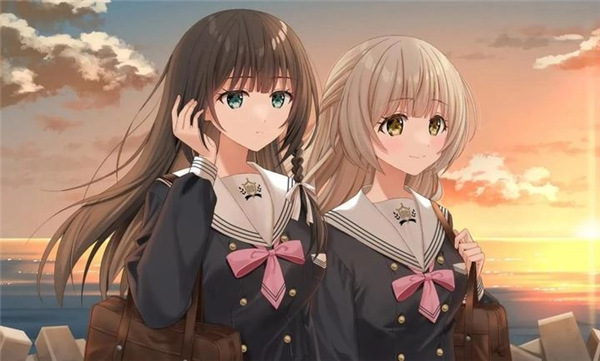 四叶草的花语官网正式版1