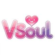 vsoul官网版