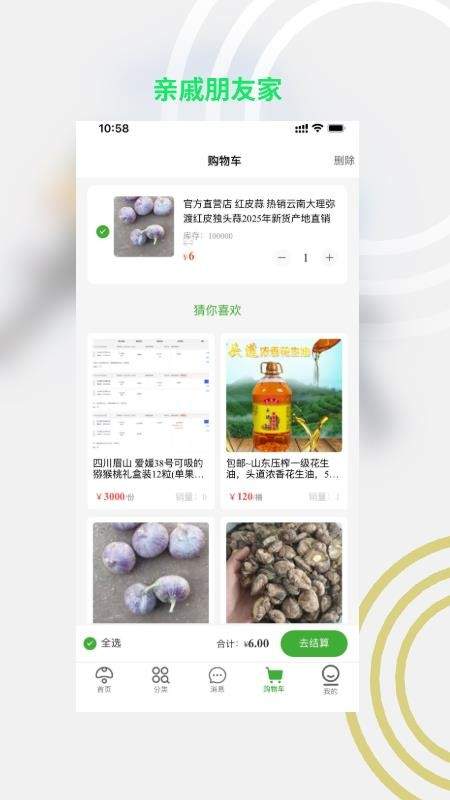 亲戚朋友家官方正版