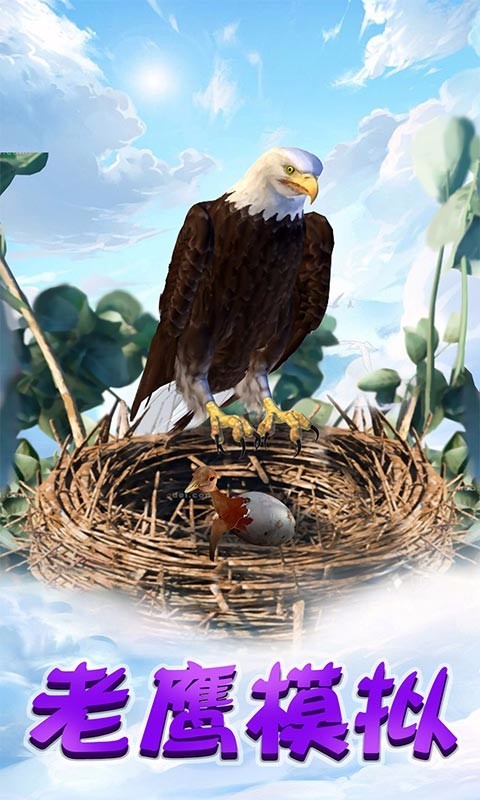 老鹰模拟3
