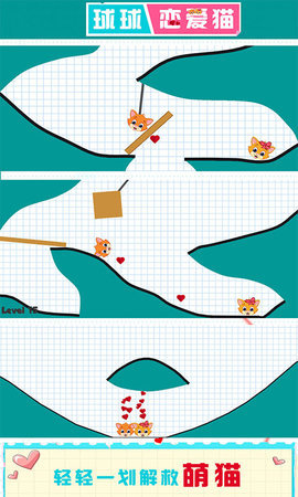 球球恋爱猫0