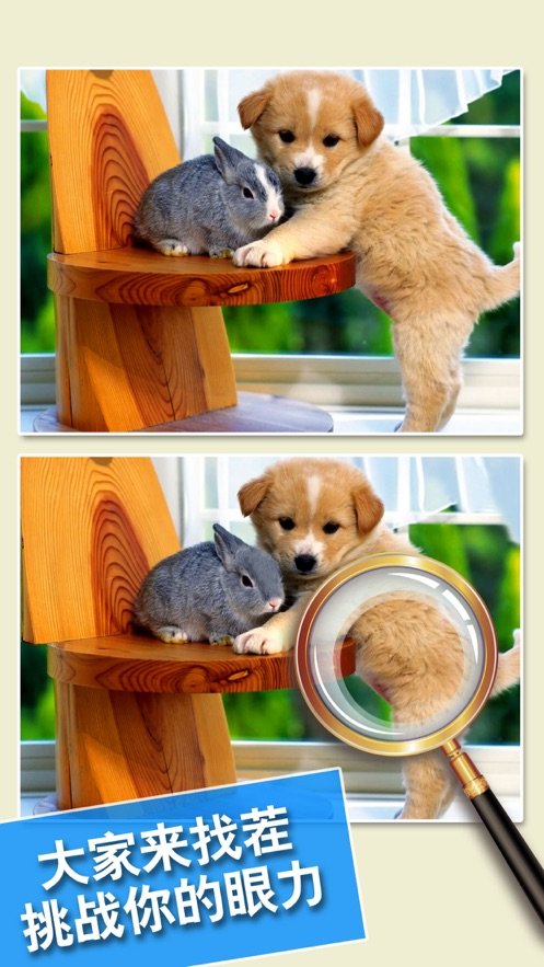 找茬1000最强版2