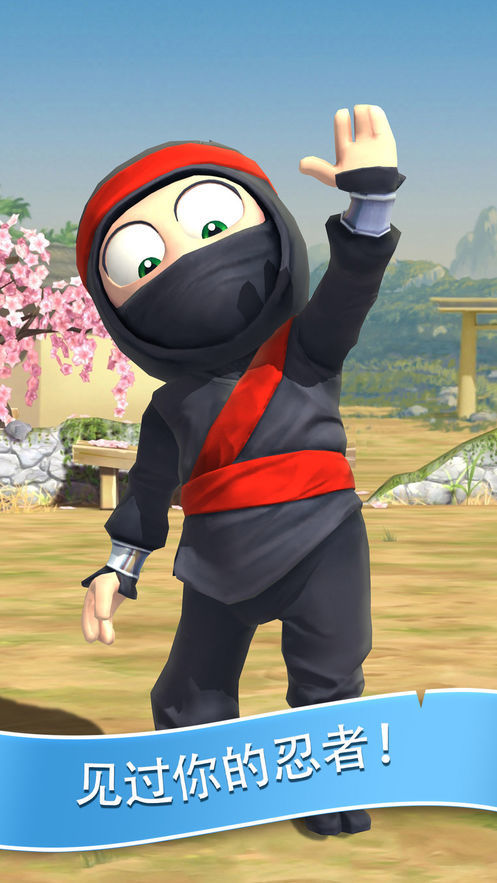 clumsy ninja4