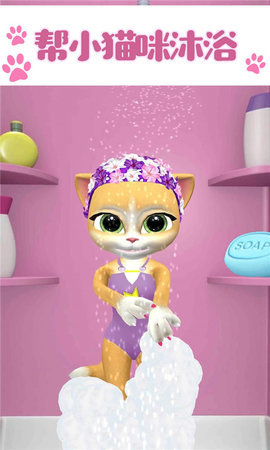 会说话的小猫咪1