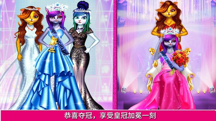 我的明星猫超模3