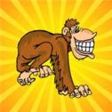 New Crazy Monkey1