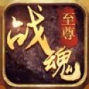 至尊战魂