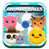 animal balls