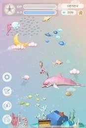 我的朋友海豚宠物1