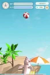 我的朋友海豚宠物2