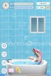 我的朋友海豚宠物4